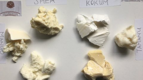 Oslove-Organics-2016