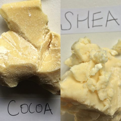 shea and cocoa