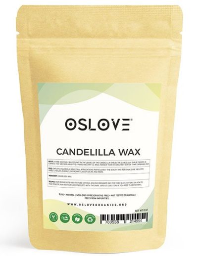 candelilla02
