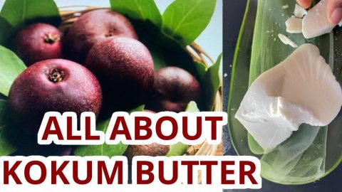 KOKUM-BUTTER-What-you-need-to-know