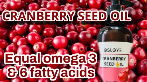 Cranberry-seed-oil-What-you-need-to-know